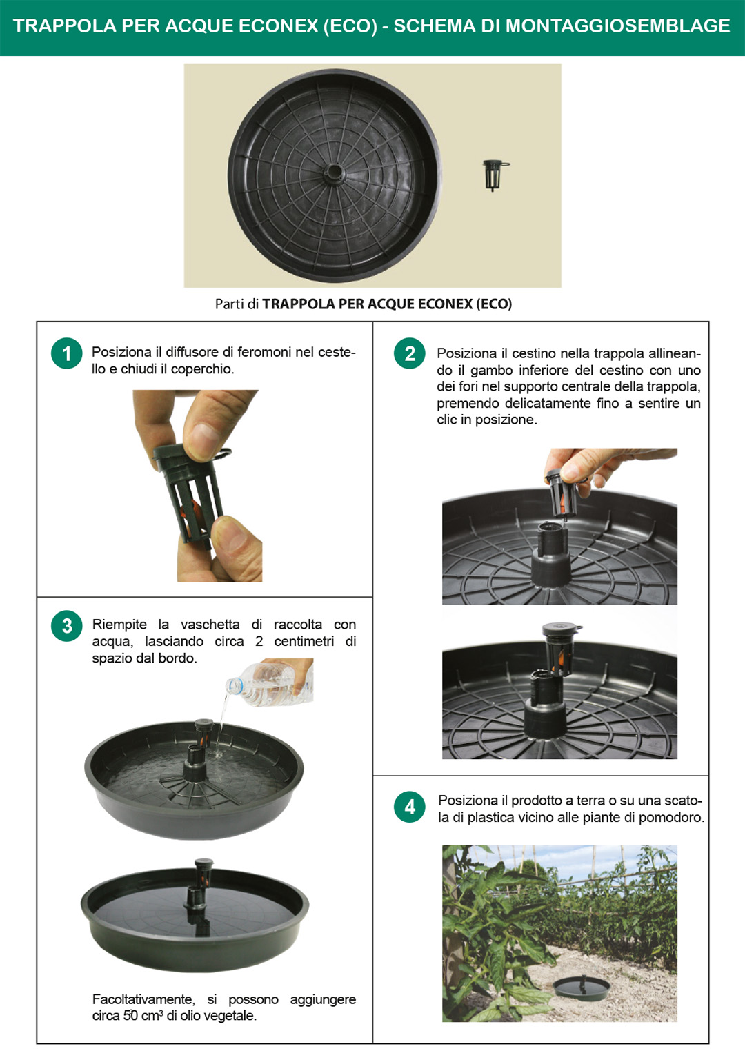 ECONEX TRAPPOLA AD ACQUA ECO - SCHEMA DI MONTAGGIO